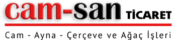 CAM-SAN Logo